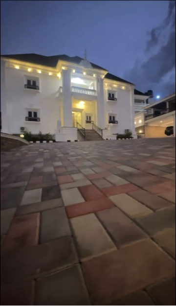 video image